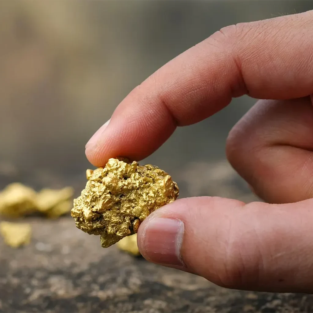 gold nuggets detectors - اجهزة البحث عن الذهب الخام